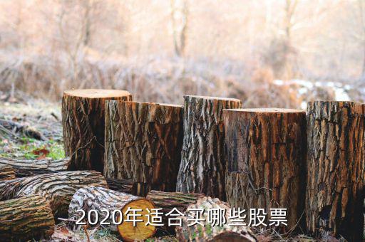 2020年適合買哪些股票