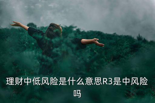 理財中低風險是什么意思R3是中風險嗎