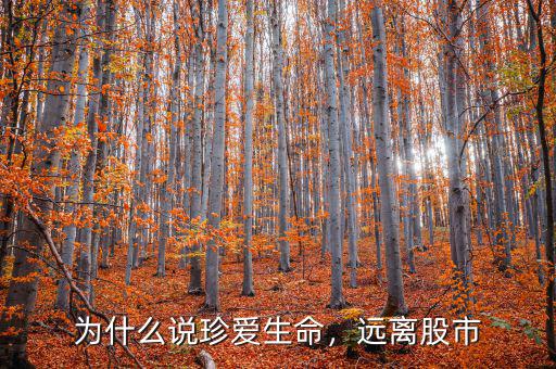 為什么說(shuō)珍愛生命，遠(yuǎn)離股市