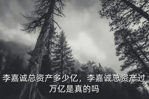 李嘉誠(chéng)總資產(chǎn)多少億，李嘉誠(chéng)總資產(chǎn)過(guò)萬(wàn)億是真的嗎