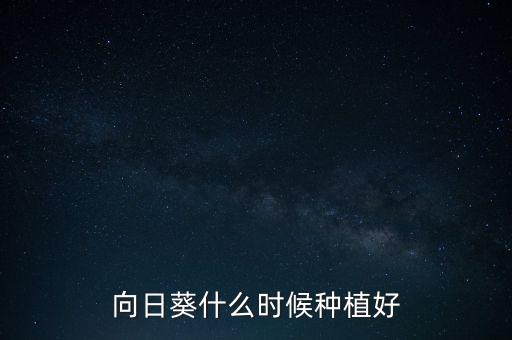 向日葵什么時(shí)候種植好