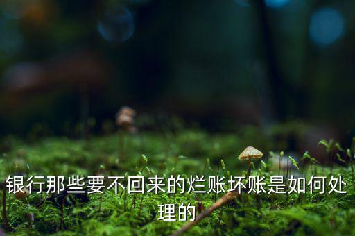 銀行那些要不回來(lái)的爛賬壞賬是如何處理的