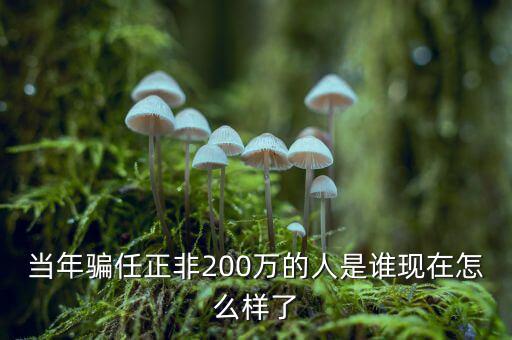 當年騙任正非200萬的人是誰現在怎么樣了