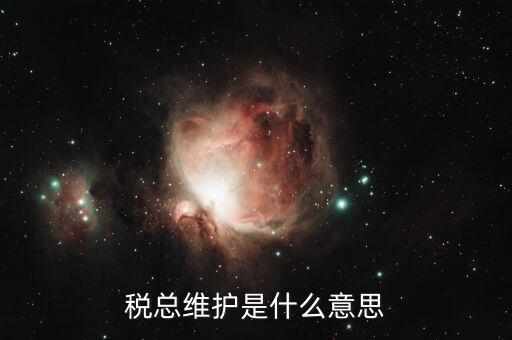 稅總維護(hù)是什么意思