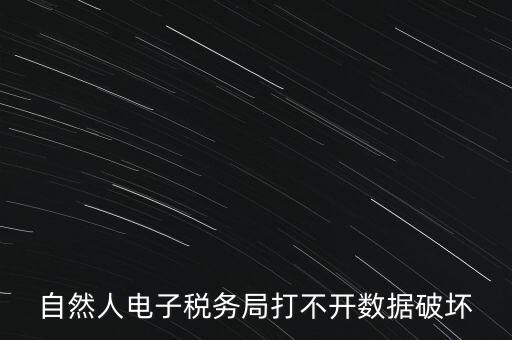 自然人電子稅務局打不開數(shù)據(jù)破壞