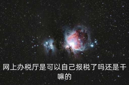 網(wǎng)上辦稅廳是可以自己報稅了嗎還是干嘛的