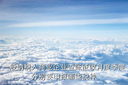 一般納稅人商業(yè)企業(yè)查賬征收月度季度分別要申報哪些稅種