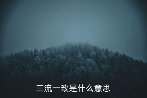 發(fā)票 流向一致是什么意思，發(fā)票四流一致是哪四流