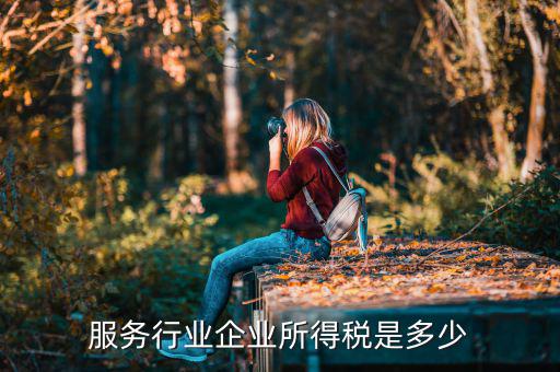 什么是接受服務(wù)企業(yè)所得稅，服務(wù)行業(yè)企業(yè)所得稅是多少