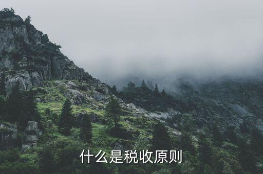 什么是稅收原則