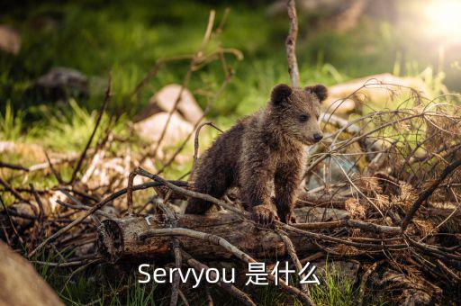 servyou是什么意思，Servyou 是什么