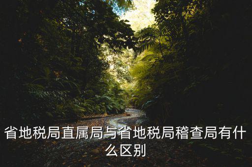 什么是地稅直屬局，國家稅務(wù)局直屬稅務(wù)分局是什么意思