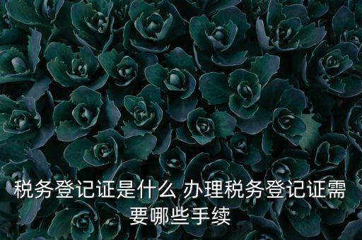 地稅局登記是什么，地稅辦理稅務登記需要哪些資料