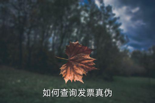 查驗(yàn)發(fā)票需要什么信息，發(fā)票怎么去稅務(wù)局驗(yàn)證需要什么資料