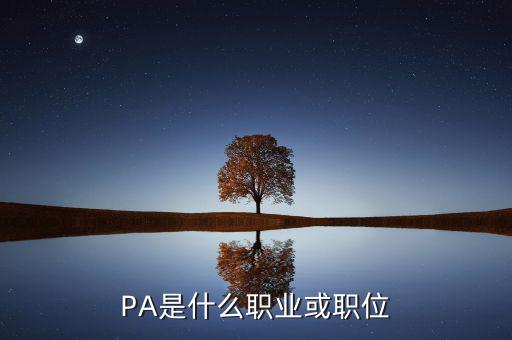 河南省國(guó)稅局陳紅偉什么職務(wù)，PA是什么職業(yè)或職位