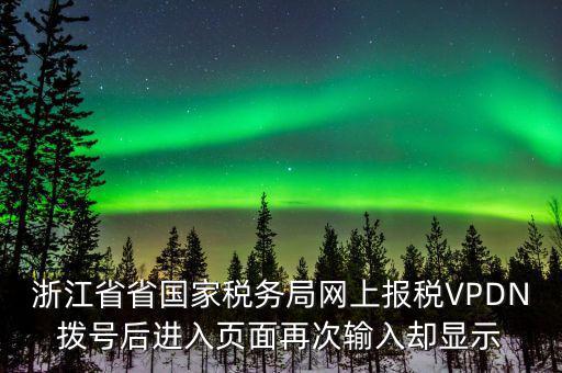 浙江省省國家稅務局網(wǎng)上報稅VPDN撥號后進入頁面再次輸入?yún)s顯示