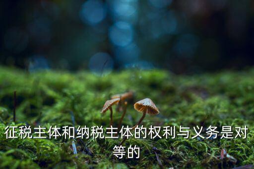 征稅主體和納稅主體的權(quán)利與義務(wù)是對(duì)等的