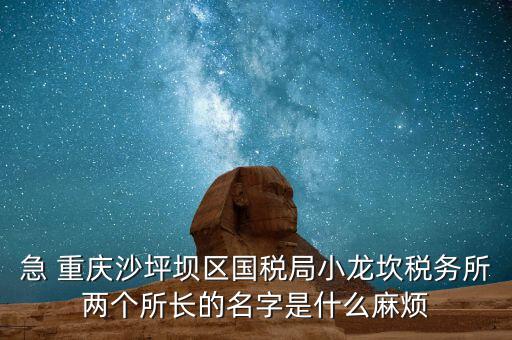 稅務(wù)所所長(zhǎng)什么級(jí)別，地稅局基層稅務(wù)所屬什么層級(jí)