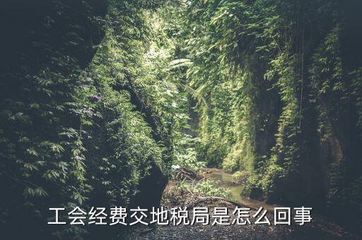 工會經(jīng)費交地稅局是怎么回事