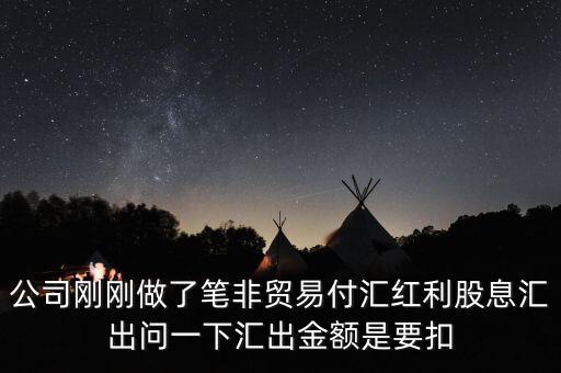 公司剛剛做了筆非貿(mào)易付匯紅利股息匯出問一下匯出金額是要扣