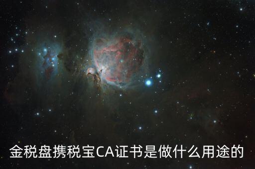 稅友的ca是什么，什么是稅務(wù)局的CA證書(shū)