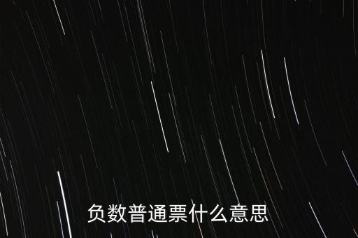 負數(shù)普通票什么意思