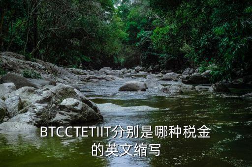 bt 是什么稅，BTCCTETIIT分別是哪種稅金的英文縮寫