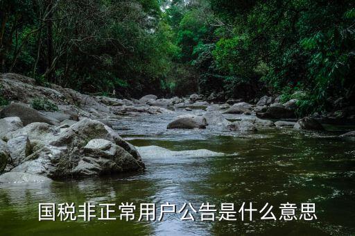 國稅非正常用戶公告是什么意思