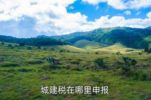 地稅城市維護建設(shè)稅按什么申報，城建稅申報