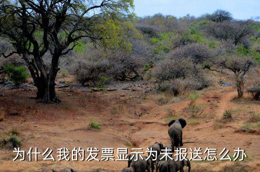 發(fā)票顯示沒上傳什么情況，為什么我的發(fā)票顯示為未報(bào)送怎么辦