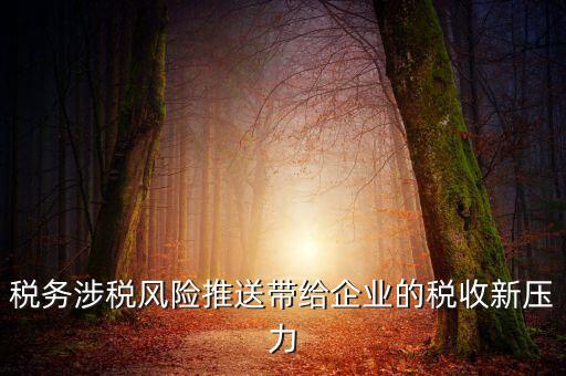 稅務(wù)涉稅風(fēng)險推送帶給企業(yè)的稅收新壓力