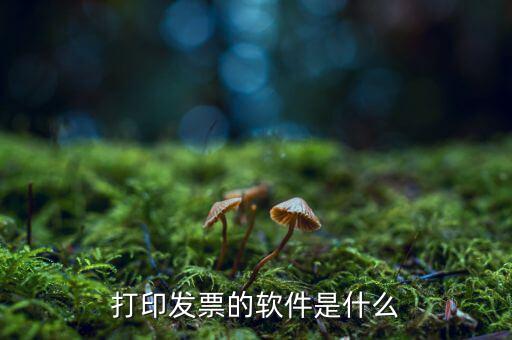 p發(fā)票用什么軟件，我想p一下發(fā)票的內(nèi)容要哪個軟件好