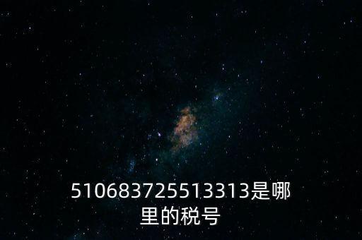 陜西省地方的稅號(hào)開頭是什么，510683725513313是哪里的稅號(hào)