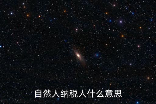 登記稅務(wù)的自然人是什么意思，請問一下自然人登記是什么意思