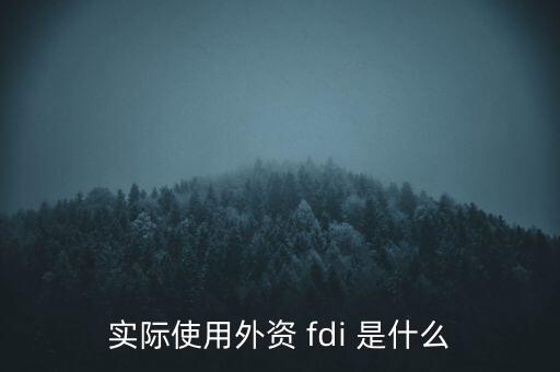 實(shí)際使用外資 fdi 是什么