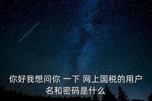 你好我想問你 一下 網(wǎng)上國稅的用戶名和密碼是什么