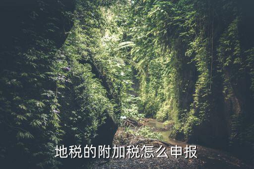 什么是附加稅申報(bào)，地稅的附加稅怎么申報(bào)