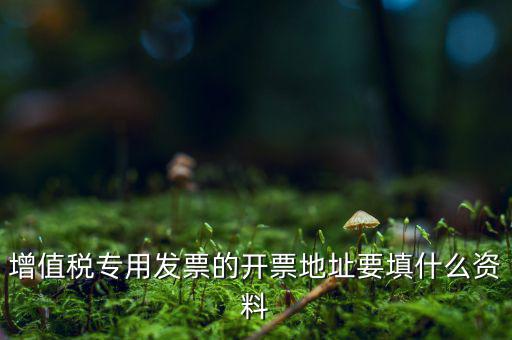 增值稅專用發(fā)票的開票地址要填什么資料