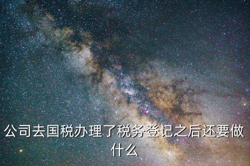 公司去國稅辦理了稅務(wù)登記之后還要做什么