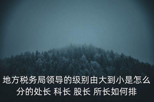 地方稅務(wù)局領(lǐng)導(dǎo)的級別由大到小是怎么分的處長 科長 股長 所長如何排