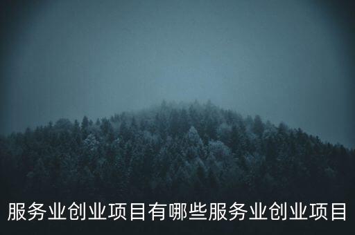 服務業(yè)創(chuàng)業(yè)項目有哪些服務業(yè)創(chuàng)業(yè)項目