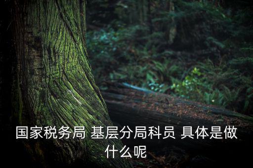 國地稅征管改革黨員干部干什么，國家稅務局 基層分局科員 具體是做什么呢