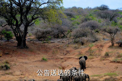 稅務局公告送達需要什么條件，公告送達的條件