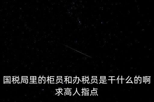 國稅局里的柜員和辦稅員是干什么的啊求高人指點