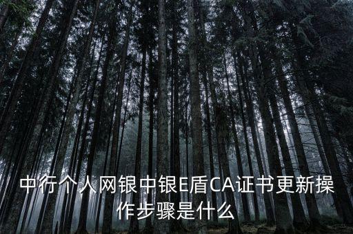 升級(jí)ca需要什么，CA證書(shū)怎么從副盤升級(jí)成正盤