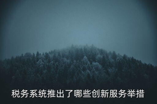 稅務(wù)系統(tǒng)推出了哪些創(chuàng)新服務(wù)舉措