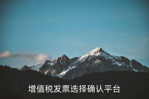 增值稅發(fā)票選擇確認(rèn)平臺(tái)做什么，增值稅發(fā)票選擇確認(rèn)平臺(tái)