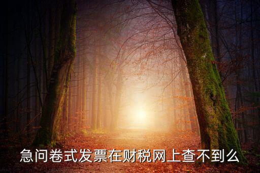 急問卷式發(fā)票在財(cái)稅網(wǎng)上查不到么