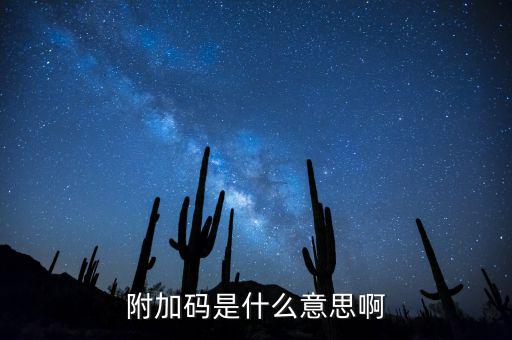 遼寧查發(fā)票有一個附加碼是什么，發(fā)票真?zhèn)尾樵兇a是什么