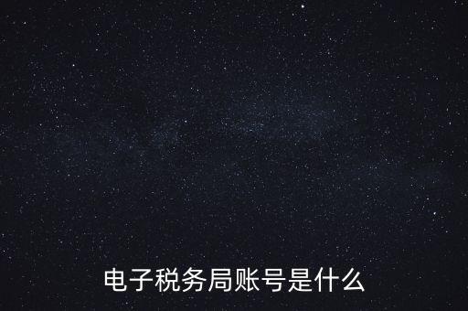 電子稅務局賬號是什么